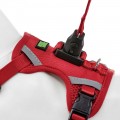 Easy Lock - רתמה + רצועה תואמת בעלת חיבור מגנטי לכלבים קטנים (S)